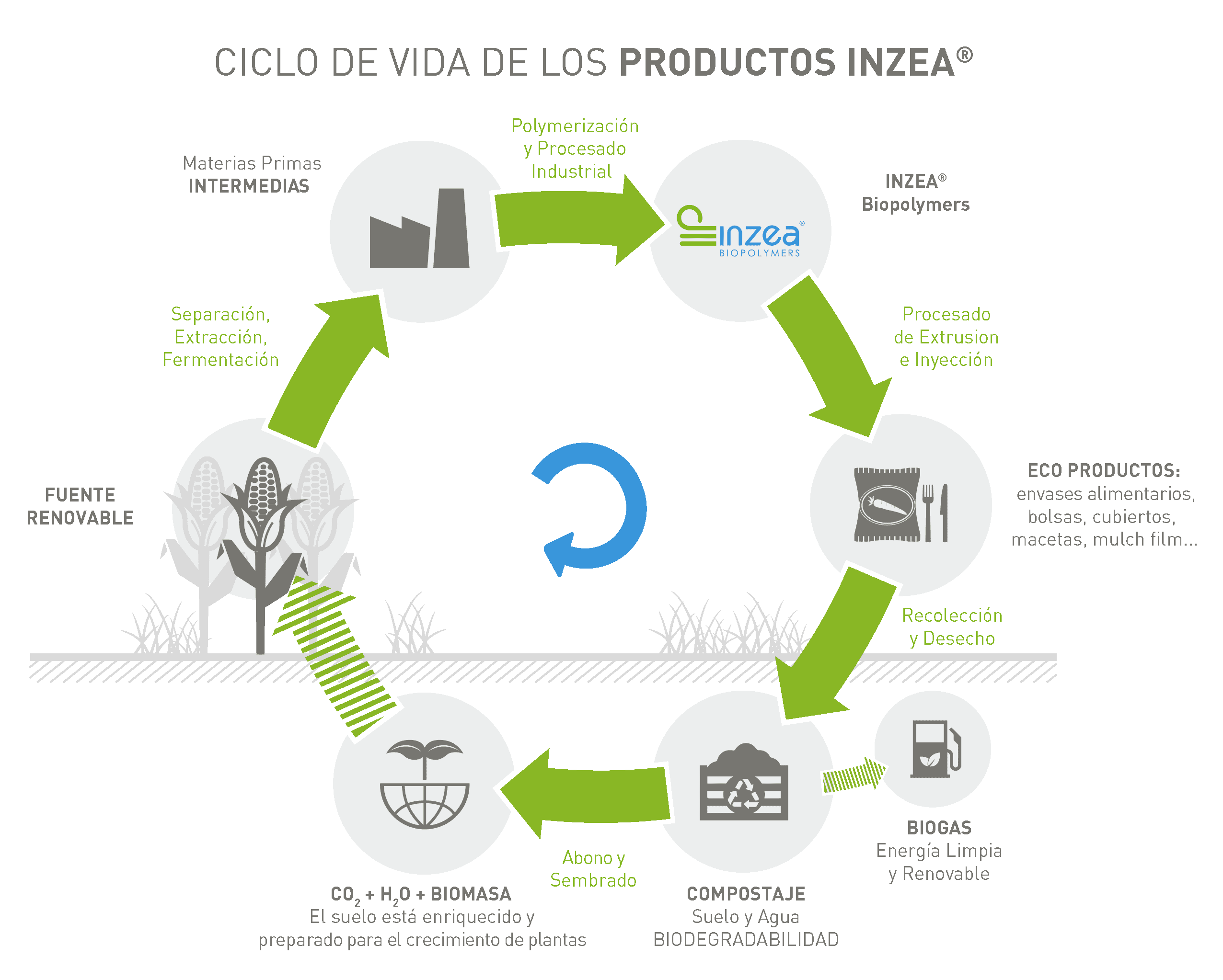 Ciclo de vida de los productos INZEA®.