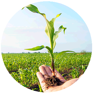 INZEA Biopolymers Test y Certificaciones