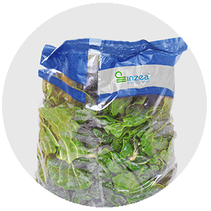 Envase Alimentario Flexible Compostable INZEA