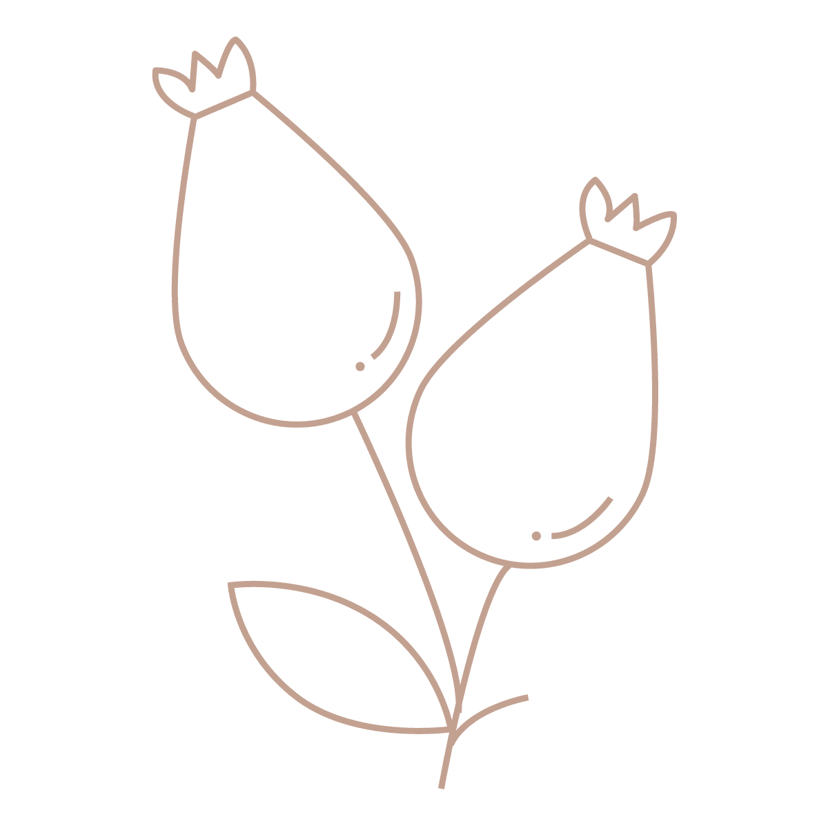Las fibras cosméticas de NOVAREL Natural Care incorporan aceite de rosa mosqueta para favorecer la regeneración de la piel durante su uso.