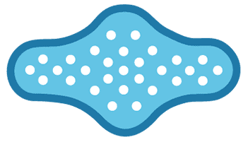 Forma de la sección transversal de las fibras de nylon 6 de XTRA-DRY.