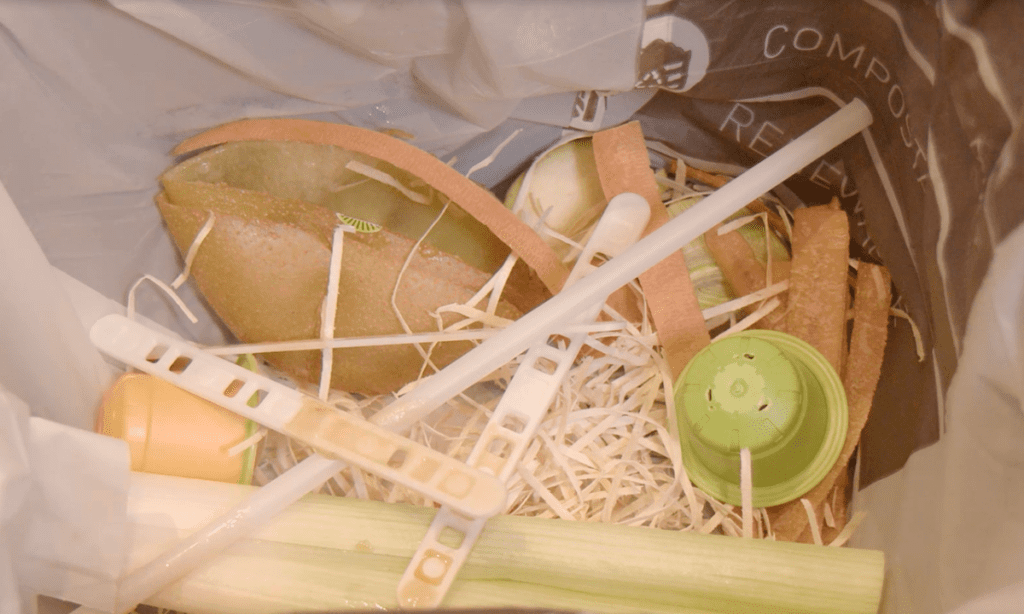 Compost generated from coffee capsules and pallets made from INZEA's compostable biopolymers.