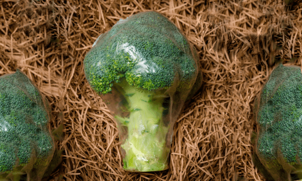 compostable-biopolymers-shrink-film Compostable shrink film for fruit and vegetable packaging made with INZEA's compostable biopolymers.