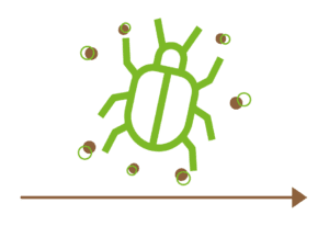 Gracias a la biodegradación de NERIDE BIO, se favorece a la formación del biofilm.