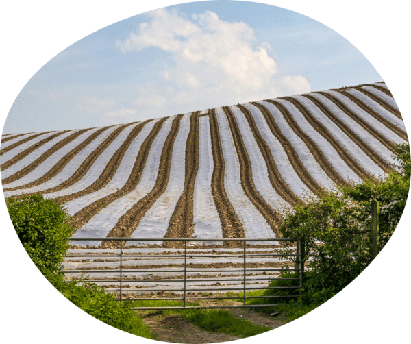 At NUREL Biopolymers we work continuously in R&D to offer sustainable solutions that adapt to all kinds of production conditions, requirements and legislations.