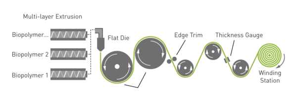 Cast process and thermoforming with INZEA's compostable biopolymers.
