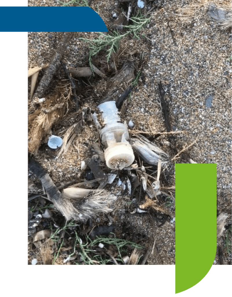 NOVIZON cartridge after being fired in the environment
